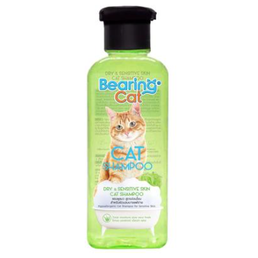 Bearing Shampoo Dry&Sensitive Skin 250 ML
